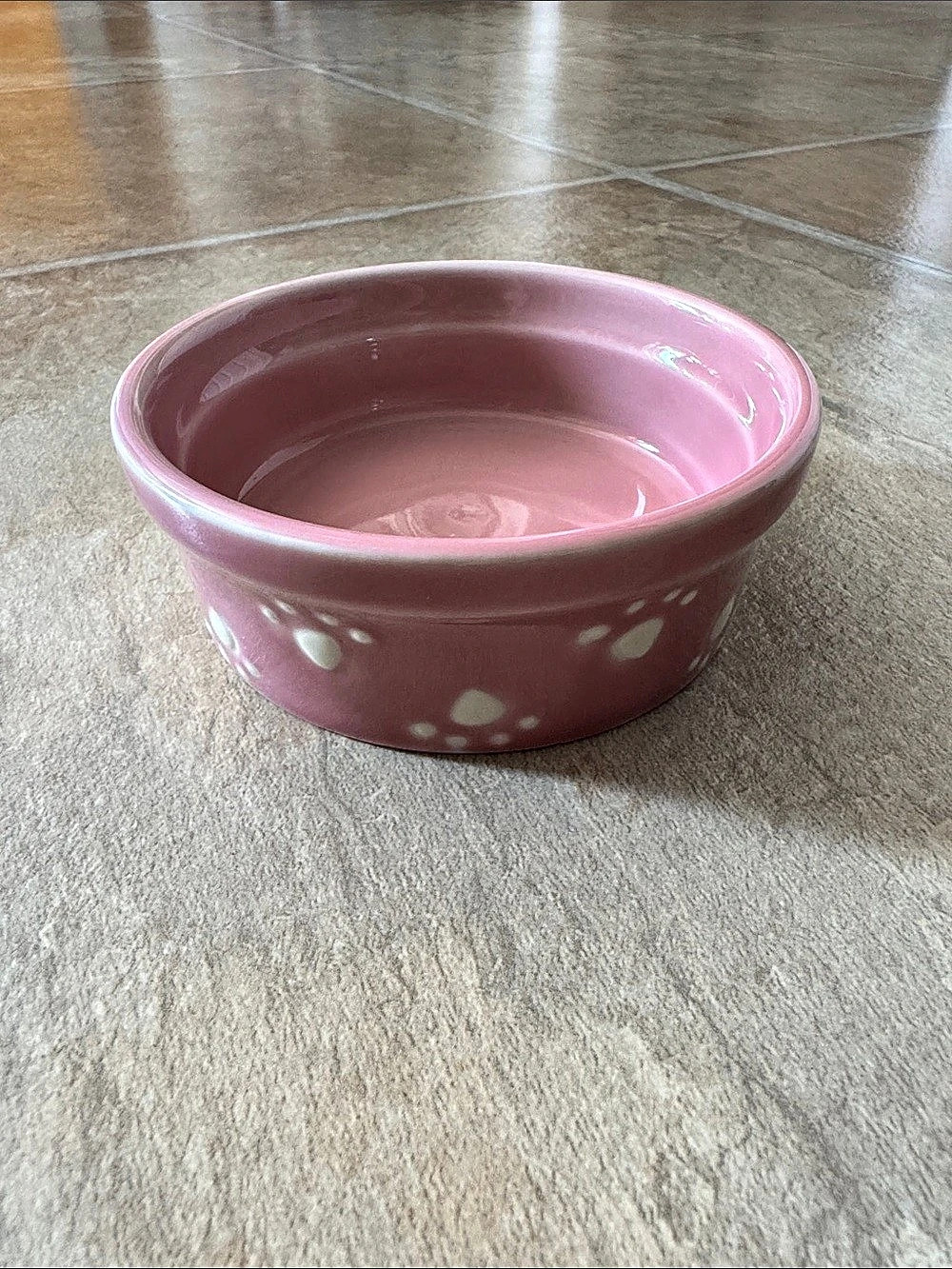 Pet-ragous Designs Pink Paw Print Cat or XS Dog Bowl
